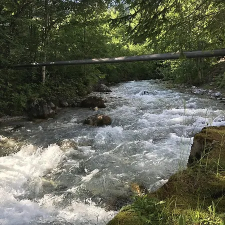 Wachtelhof *