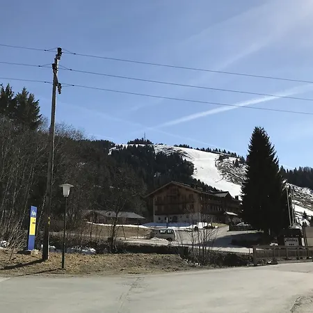Wachtelhof Apartment Maria Alm am Steinernen Meer