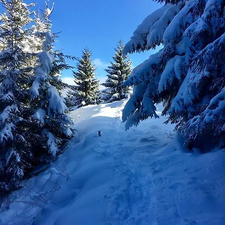 Apartment Wachtelhof Maria Alm am Steinernen Meer