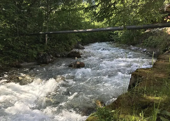 Wachtelhof *