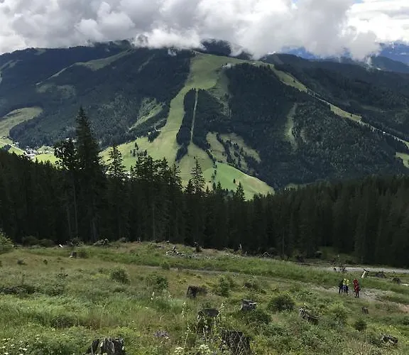 Wachtelhof * מריה אלם אם שטיינרנן מיר