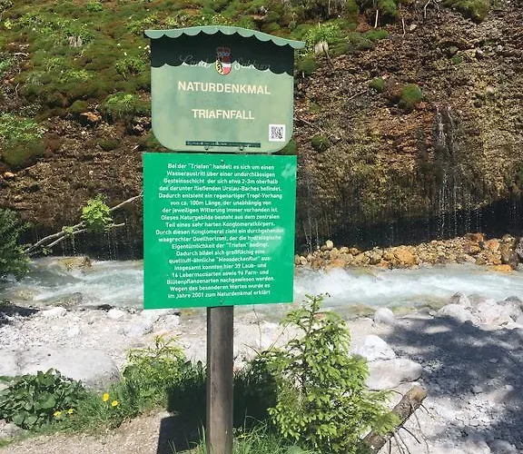 דירה Wachtelhof מריה אלם אם שטיינרנן מיר